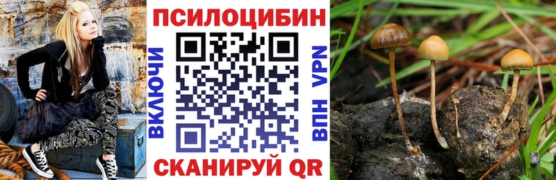 Галлюциногенные грибы MAGIC MUSHROOMS  где найти наркотики  darknet как зайти  Белебей 