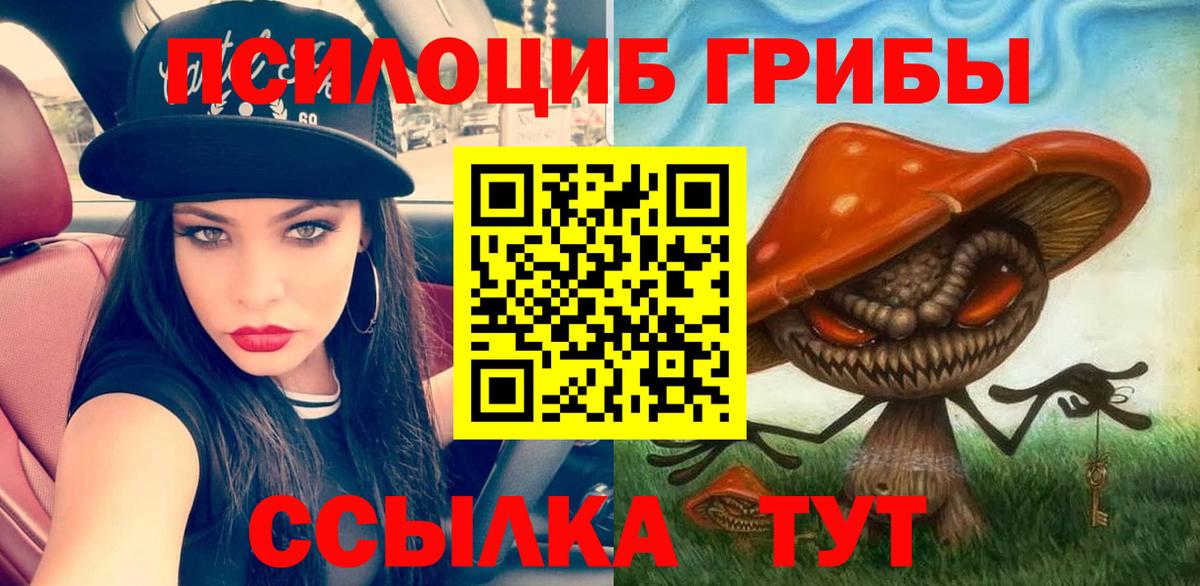 Галлюциногенные грибы прущие грибы  Псилоцибиновые грибы прущие грибы  Белебей  Вход с VPN 