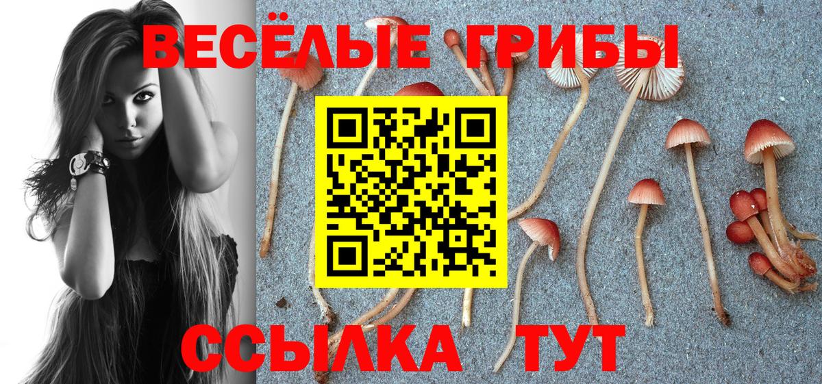 Псилоцибиновые грибы Magic Shrooms Белебей