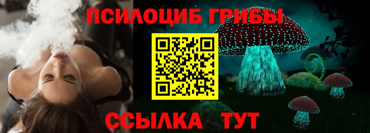 Псилоцибиновые грибы Psilocybine cubensis Белебей